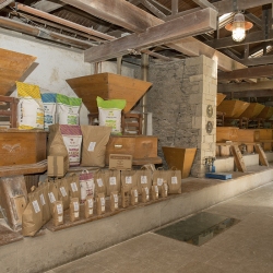 Salvado de trigo fino