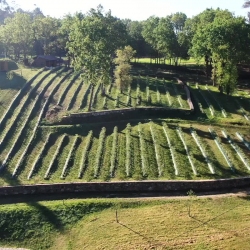 Arándanos frescos  de Finca O Muíño de Cuíña