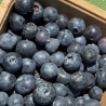 1 Kg Arándanos frescos Finca O Muíño de Cuíña