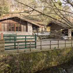 Harina de Maíz Blanco