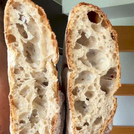 Harina de Trigo Acorazado