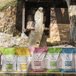 Levadura Seca de Panadero Saf Instant 500g - Etiqueta Roja