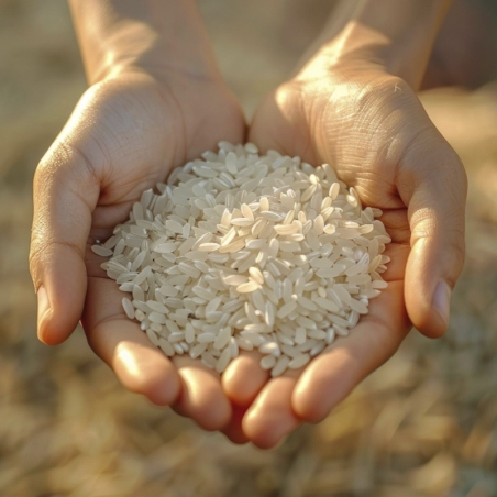Harina de Arroz Molida a la Piedra