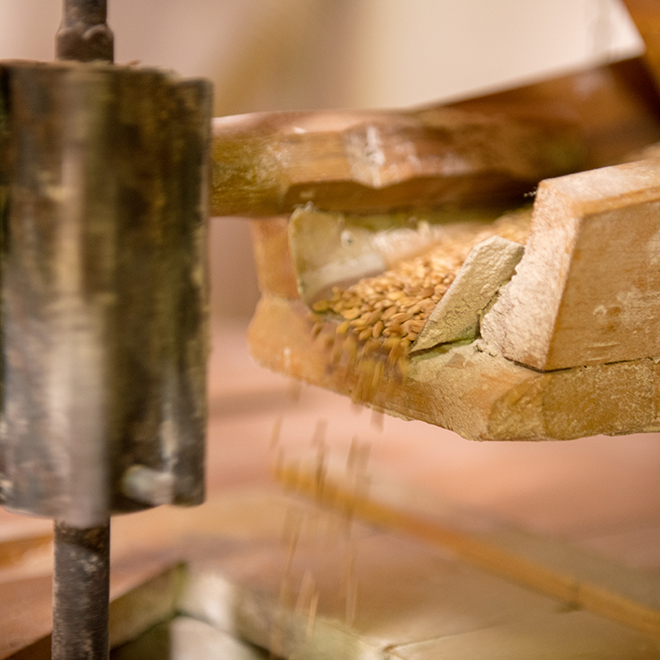 Harina de trigo gallego molida en piedra de manera tradicional